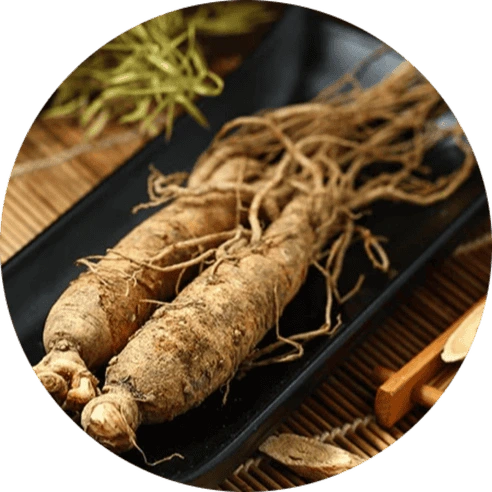 BrainVex™ Panax Ginseng Natural Cognitive Support